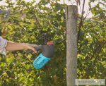   Gardena combisystem 
Bogyósgyümölcs-szüretelő készlet Készlet erejéig!