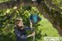 Gardena combisystem gyümölcsfelszedő készlet
(3108/fanyél 130 cm FSC® 100%) 