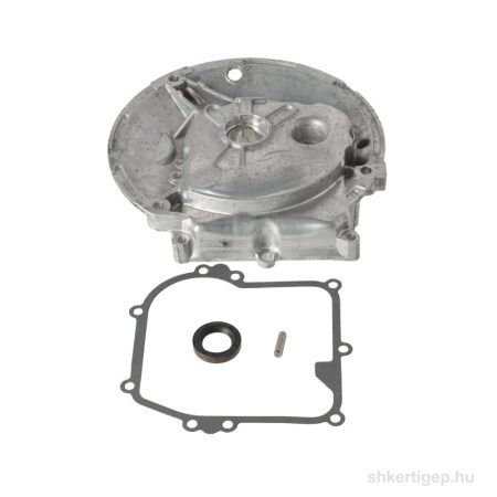 Briggs olajteknő 450
